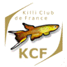 annonces/kcf.gif